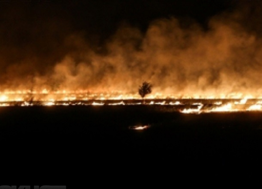 ГУ МЧС: в ближайшие дни сохранится чрезвычайная пожароопасность в Волгограде и области
