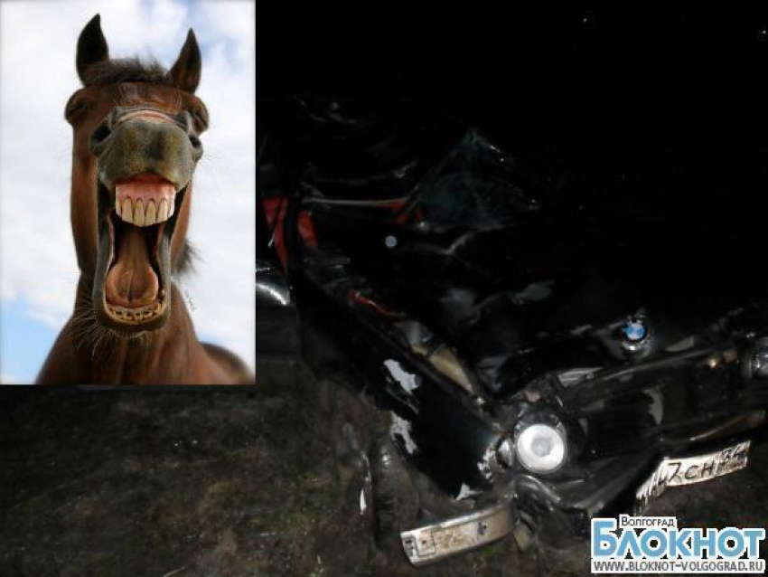 Пьяного жителя Волгоградской области, пытавшегося скрыться с места ДТП на BMW, остановила лошадь
