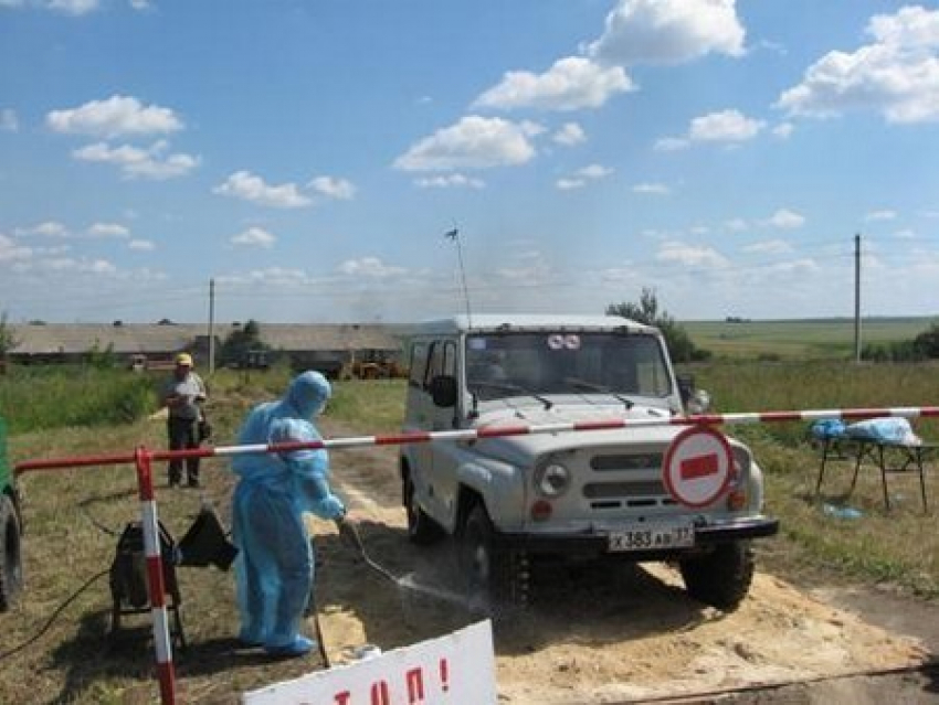  В Руднянском районе введен режим ЧС