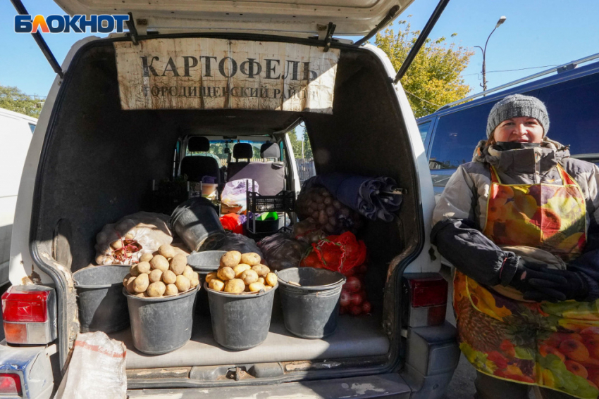 В Волгоградской области продолжает дорожать картофель
