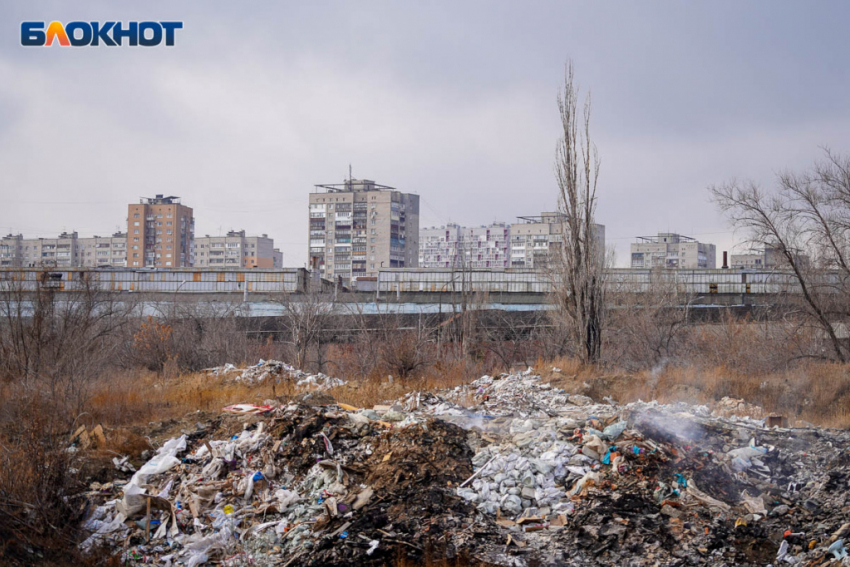 Волгоградские власти допустили огромную свалку на берегу Волги: уберут за счёт горожан