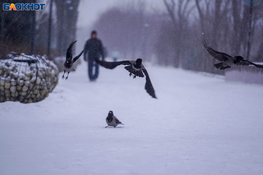 Волгоградская область стала главной целью атак ВСУ: за ночь сбито 45 БПЛА