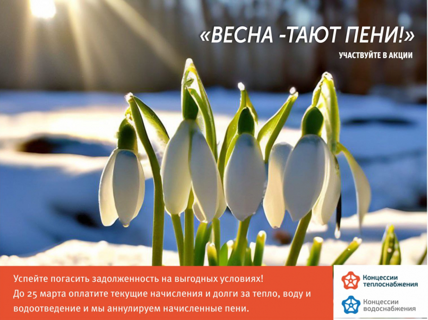 «ВЕСНА - ТАЮТ ПЕНИ!» Успейте погасить задолженность на выгодных условиях! 