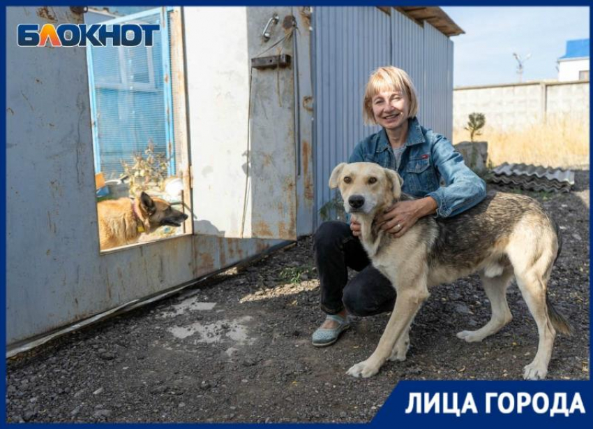 «50 тысяч рублей в месяц уходит только на питание»: волонтёр волгоградского приюта с 80 собаками Людмила Чурюмова