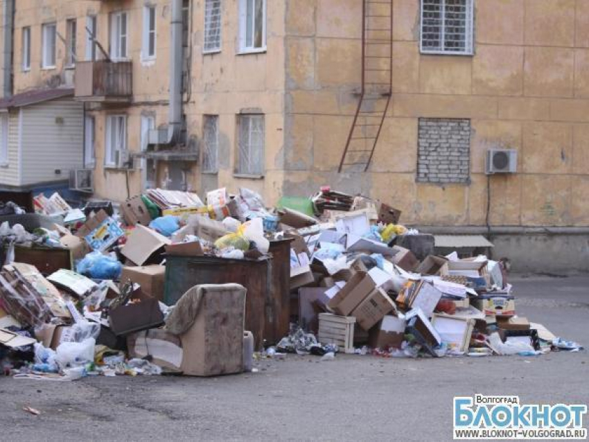 Два района Волгограда почти неделю утопают в мусоре
