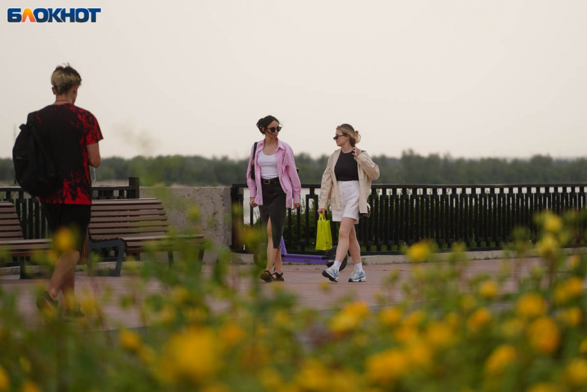 До +20 днем похолодает в Волгоградской области