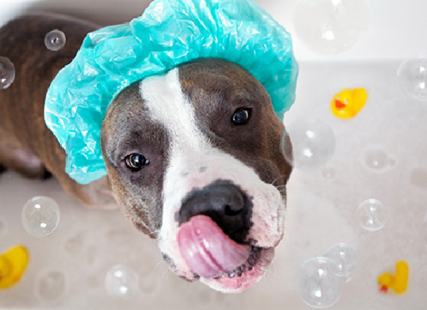 На четыре дня остались без горячей воды жители Волгограда