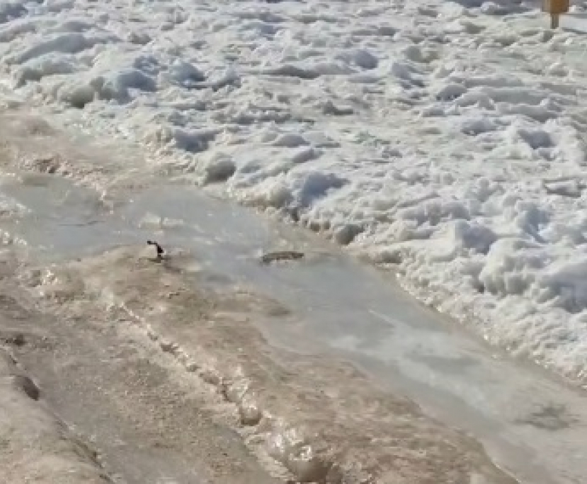 Источники забили из-под земли во дворе в Волгограде 
