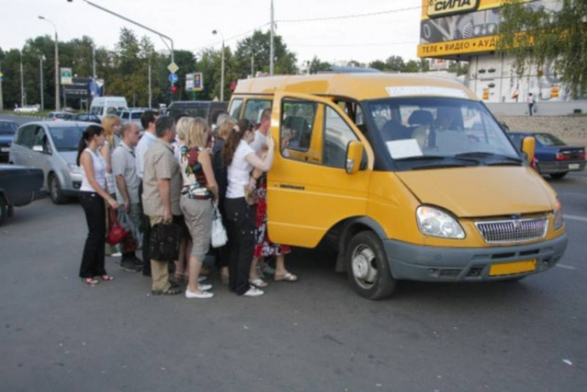 В Волгограде за нарушения перевозок оштрафованы 635 маршрутчиков