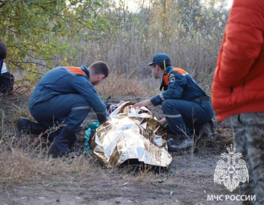 В зарослях камыша нашли ушедшую за грибами волгоградскую пенсионерку 