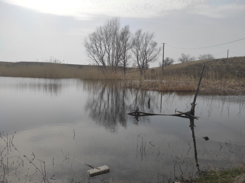 Труп волгоградца нашли на границе с Ростовской и Воронежской областями 
