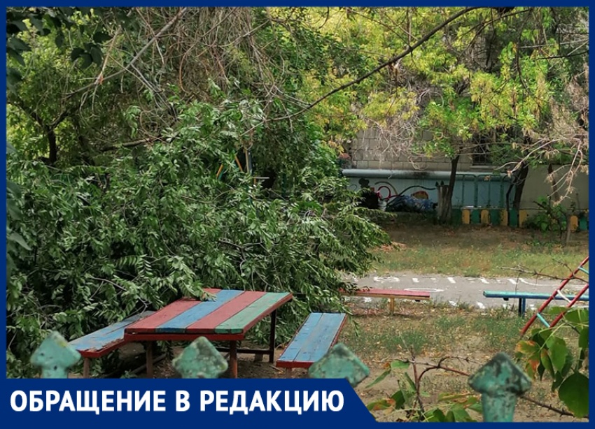 Огромная ветка рухнула на площадку детского сада в центре Волгограда