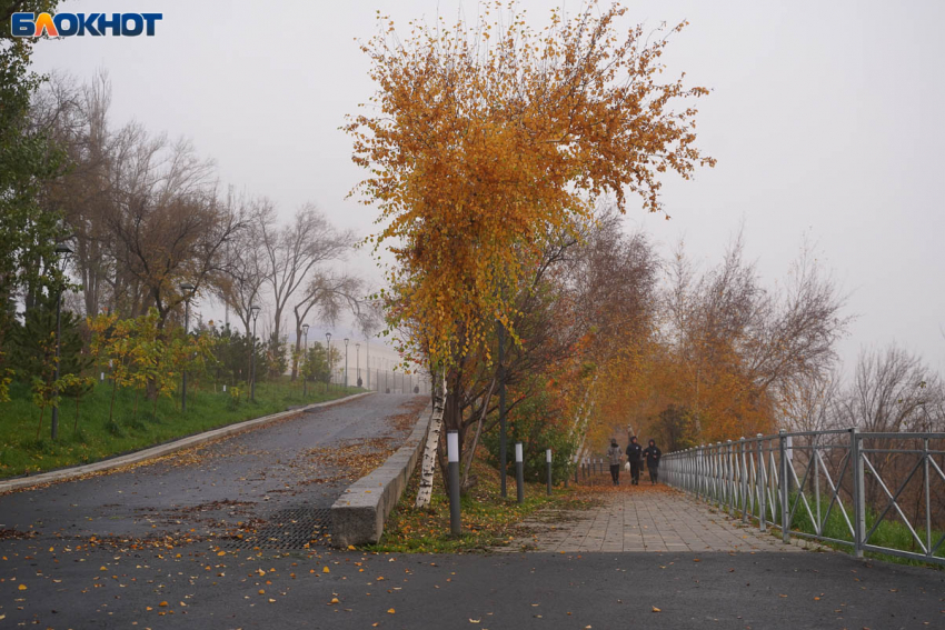 Туман утром и до +8°C днем: синоптики о погоде в Волгограде на 28 ноября