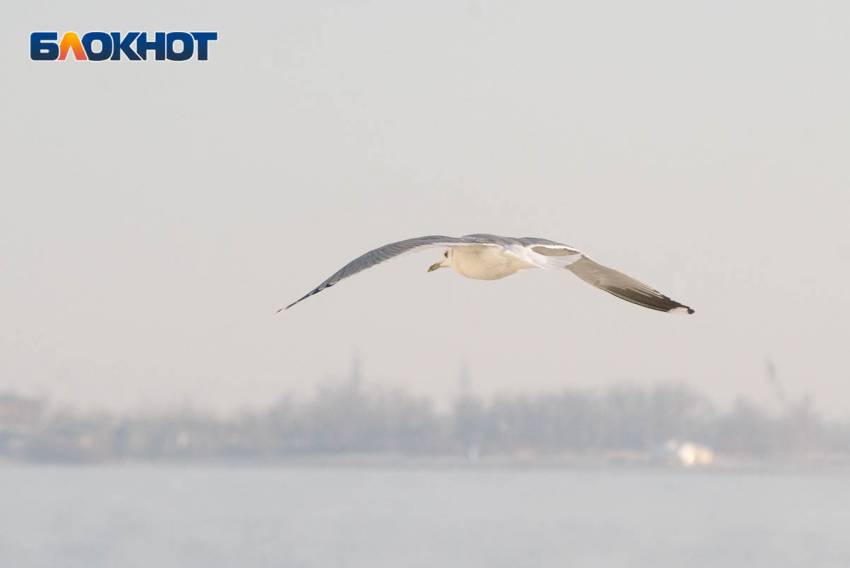 Ночные заморозки обеспечат промозглое воскресное утро 11 октября