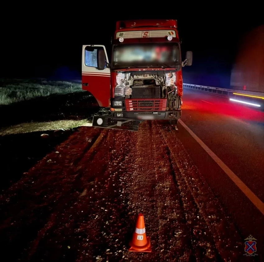 Фура снесла насмерть стоящего посреди трассы волгоградца