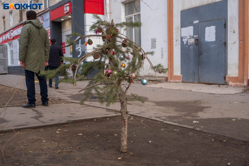 Волгоградцев лишили долгих выходных в феврале и в марте 