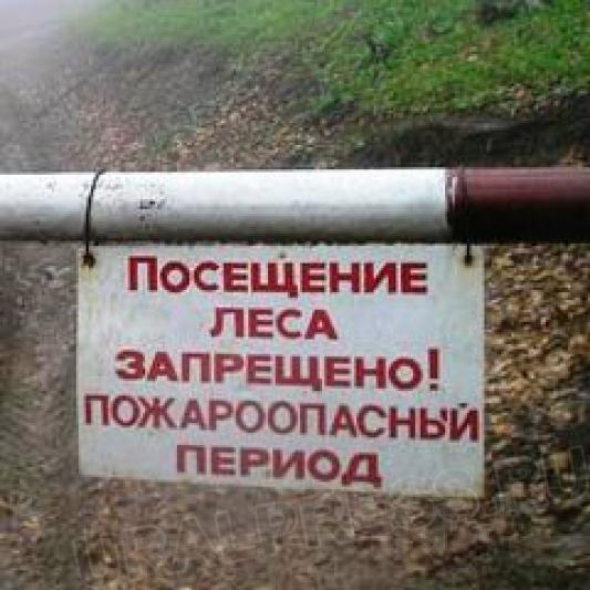 В Волгоградской области установлен особый противопожарный режим