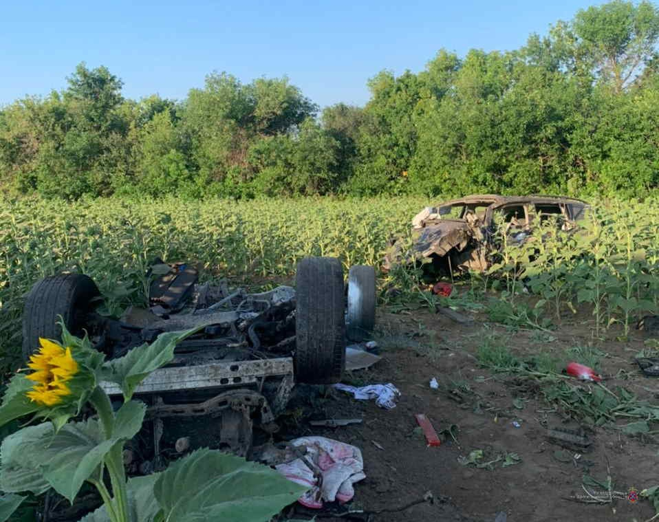 Два человека погибли в разорванной Toyota в Волгоградской области: видео
