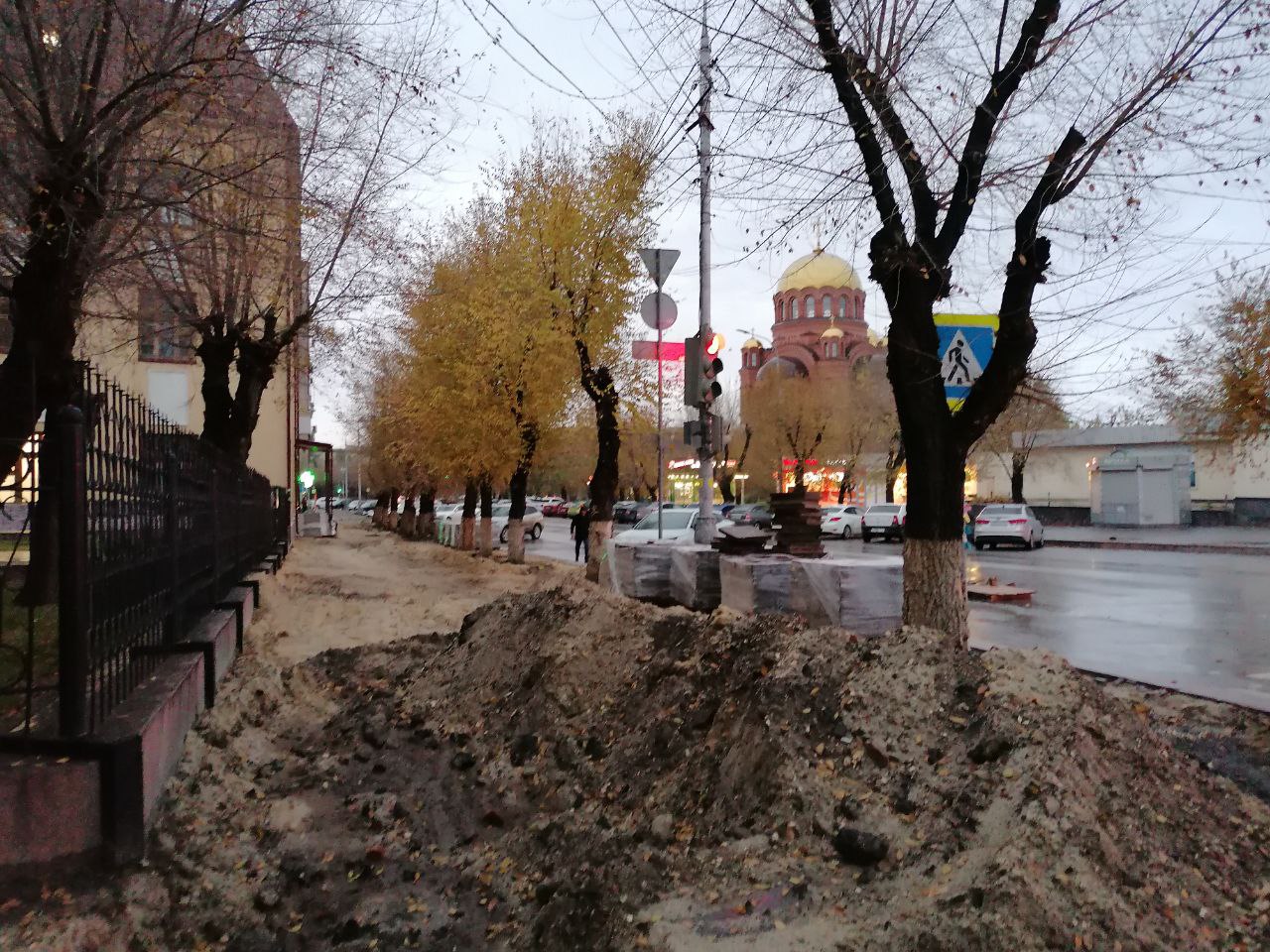 Волгоградский активист дал повод для спорных дебатов по озеленению в  Волгограде