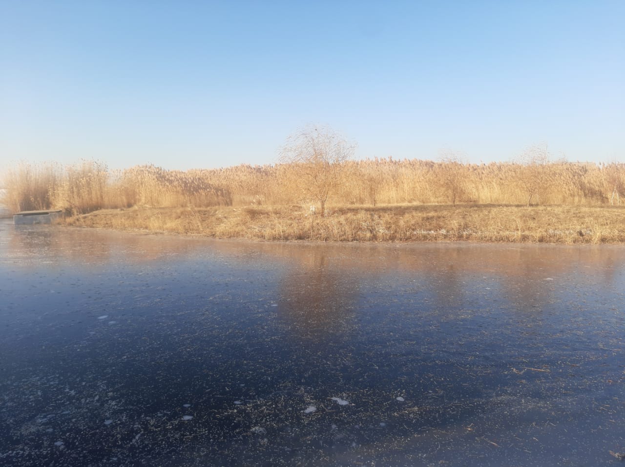 Тело рыбака обнаружено в Волгограде на Варваровском водохранилище