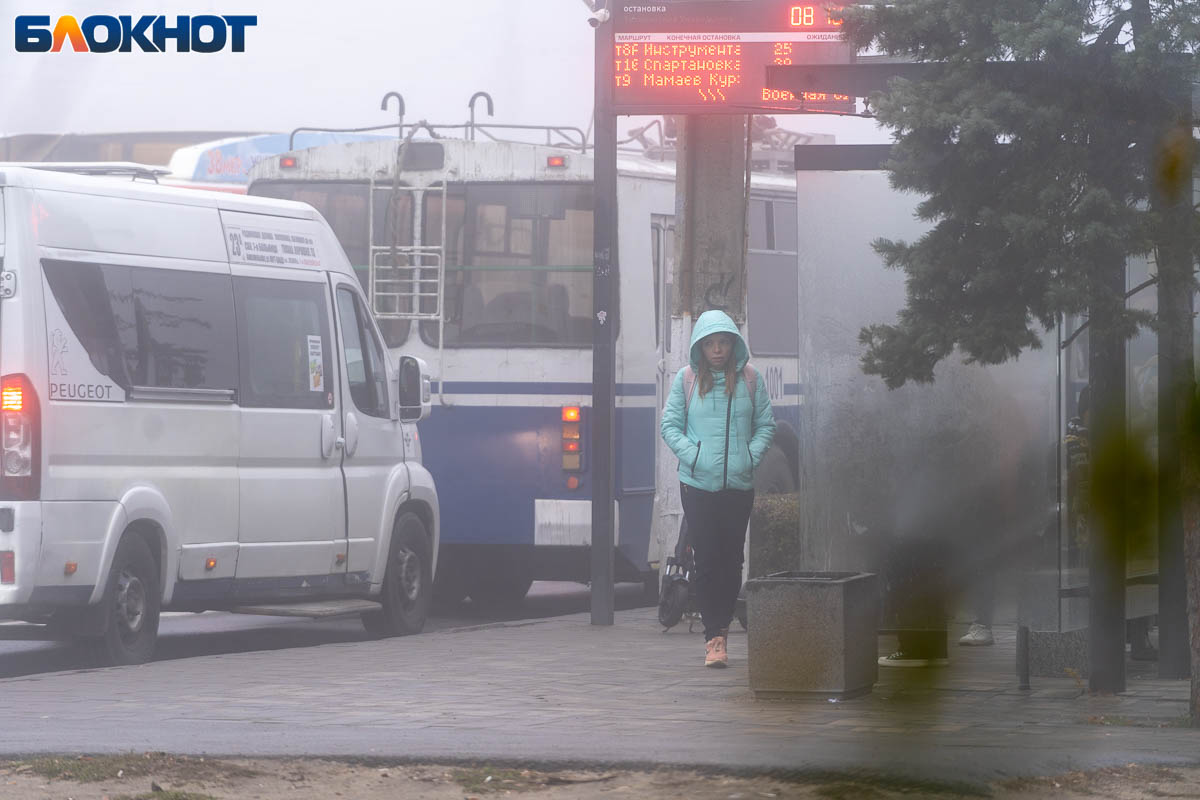 Дождливую и хмурую погоду обещают синоптики в Волгограде 17 ноября