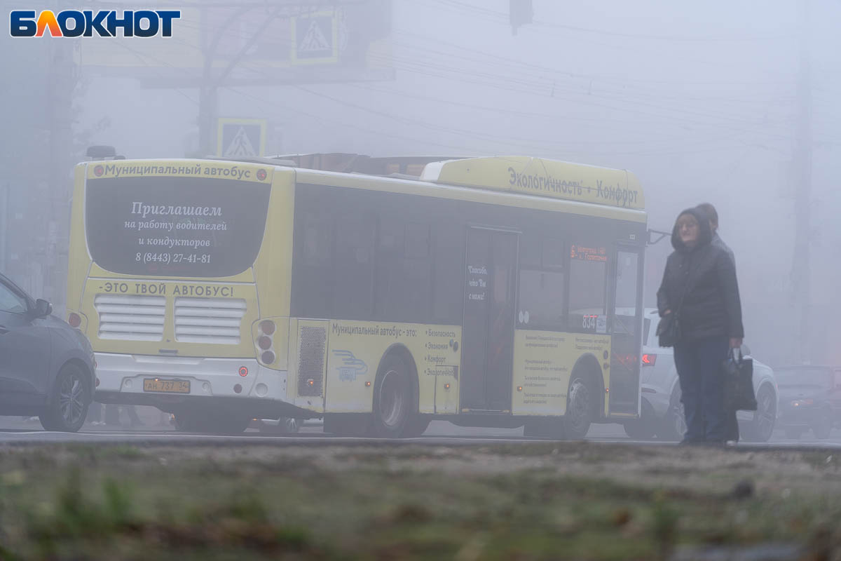 Похолодание до +2 градусов, дождь и сильный ветер придут в Волгоград