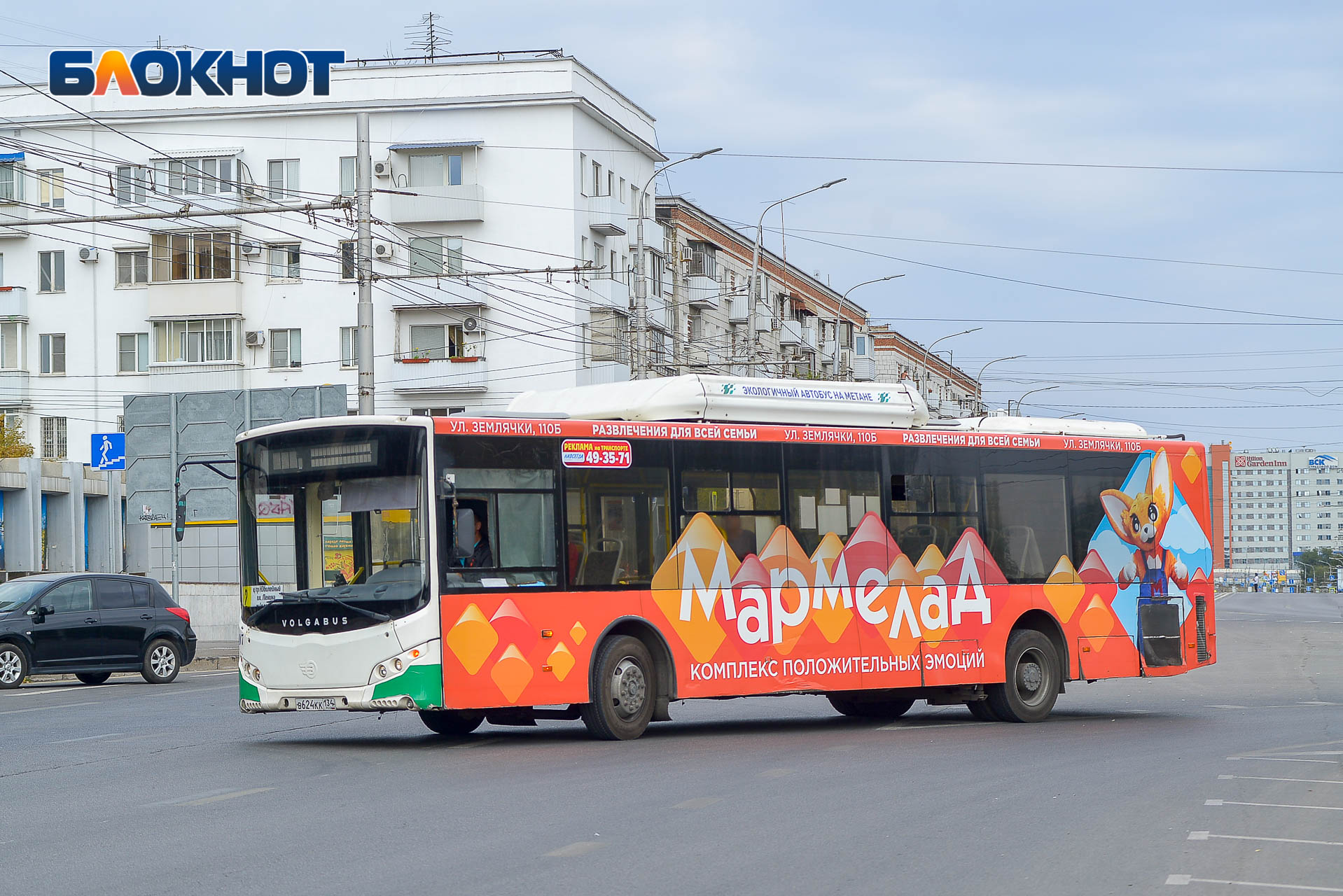 О скотских условиях работы заявили волгоградские водители автобусов: в  мэрии считают, что это не так