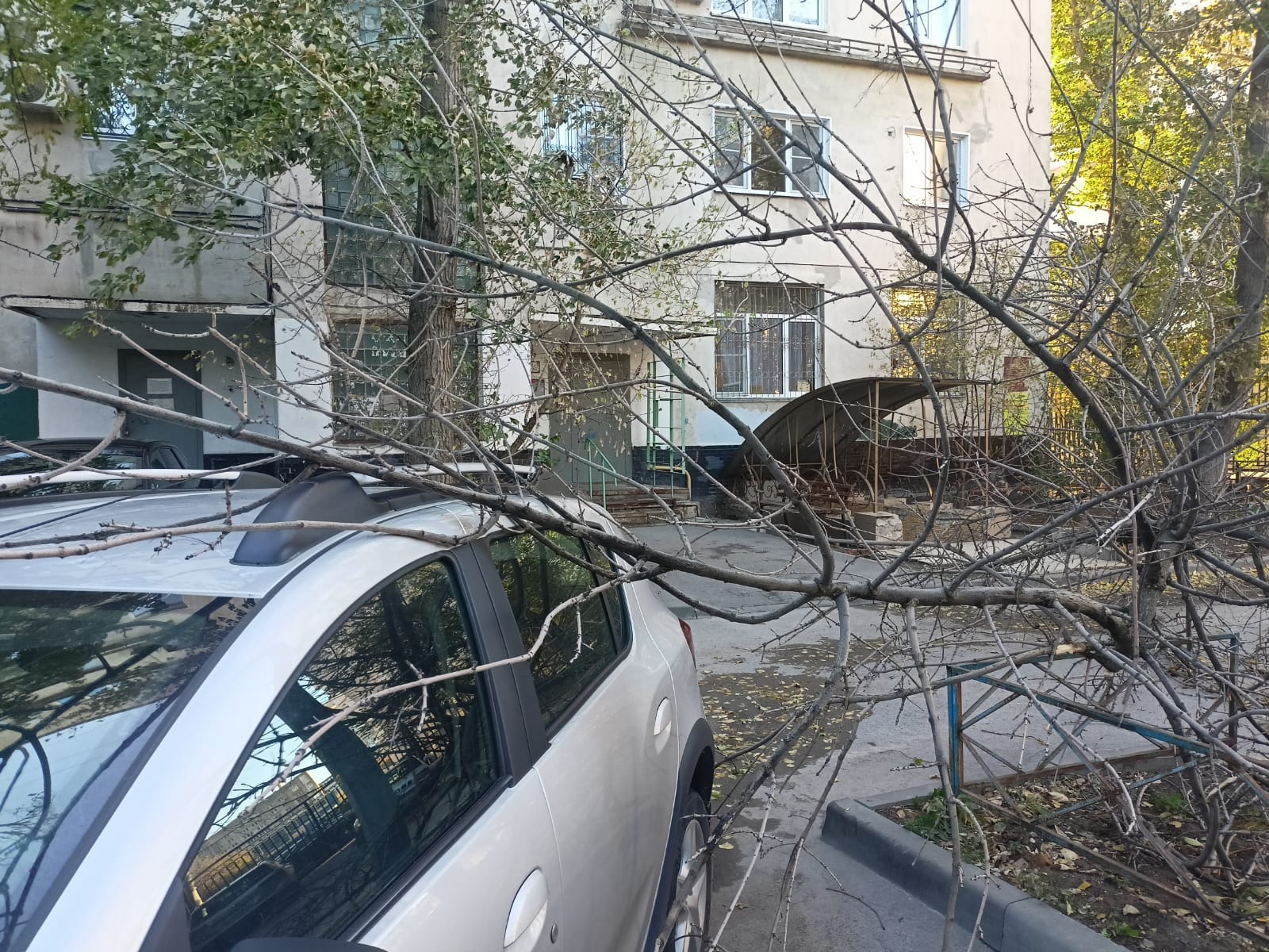 Из-за ветра 24 м/с объявлен «желтый» уровень опасности в Волгоградской  области