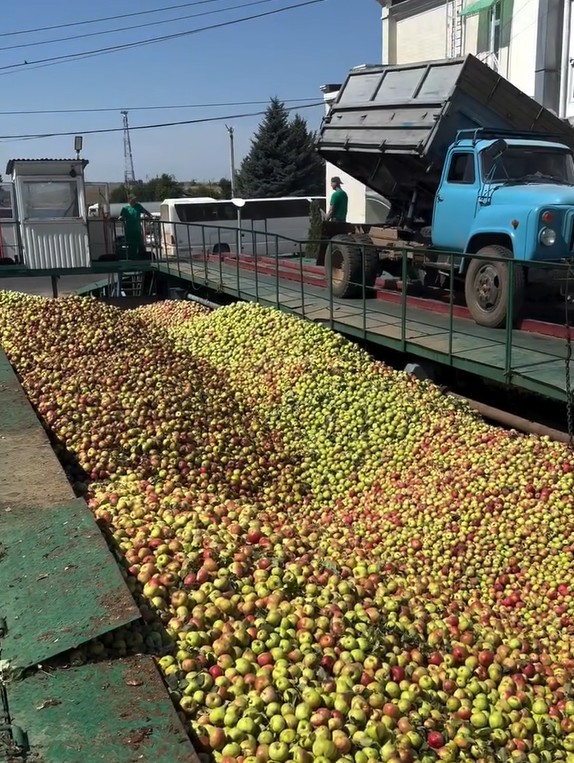 Скриншот 28-08-2025 122911.jpg