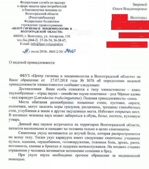 Ольга Зверева.jpg