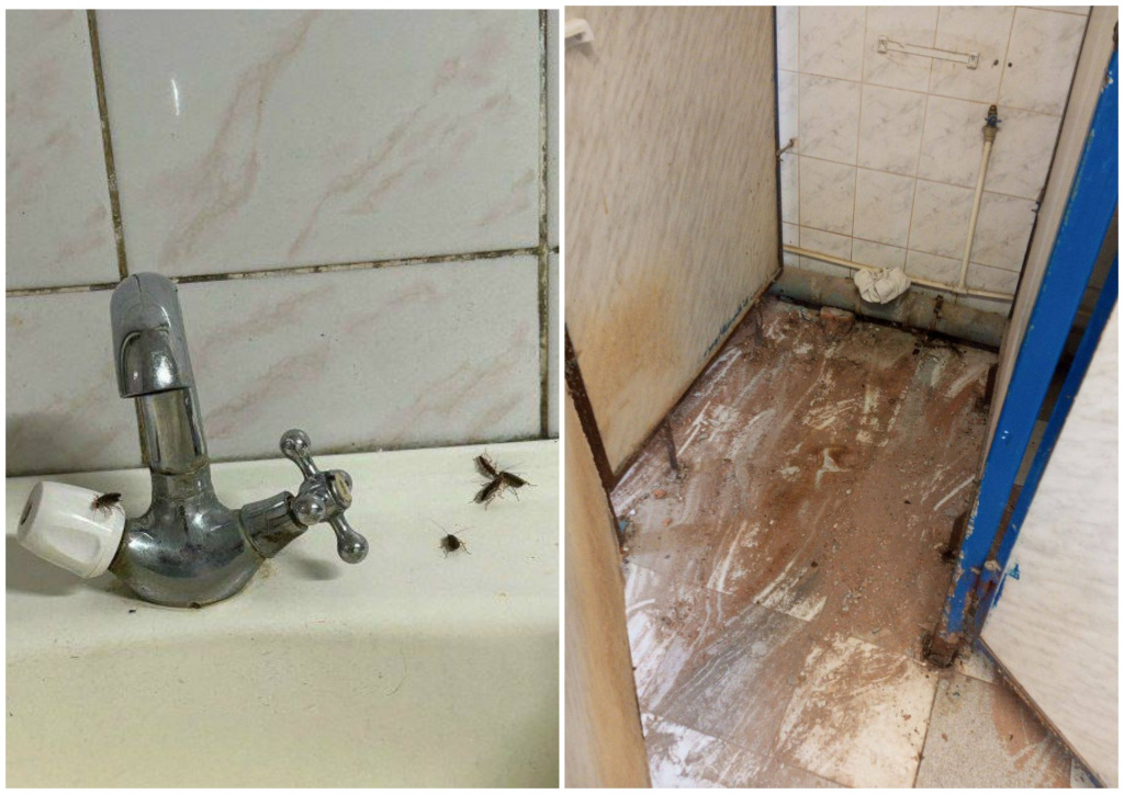 MyCollages - 2026-03-14T083140.368.jpg