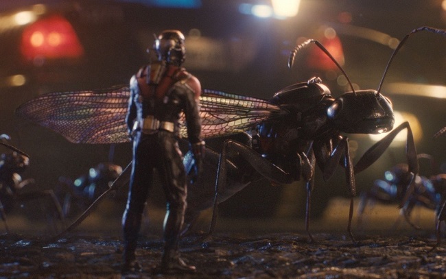 kinopoisk.ru-Ant-Man-2611865.jpg