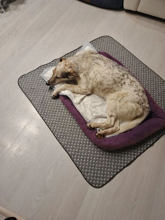 Скриншот 13-01-2026 070406.jpg