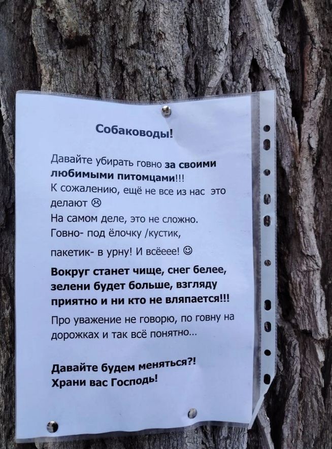 Скриншот 10-03-2026 125717.jpg