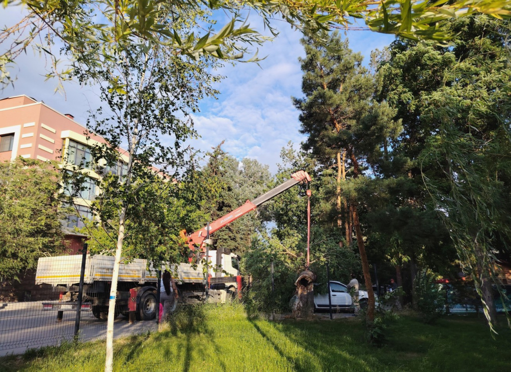 Скриншот 05-06-2025 221437.jpg Скриншот 05-06-2025 221437.jpg