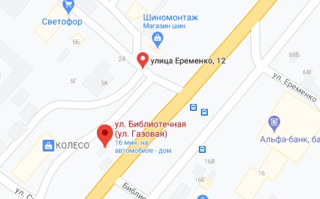 енот1.jpg