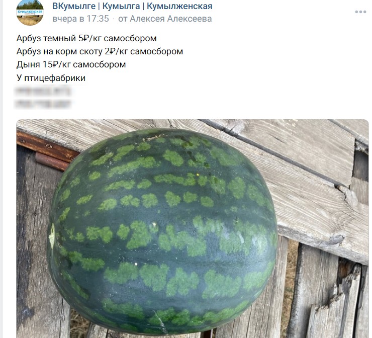 Скриншот 16-09-2024 080057.jpg