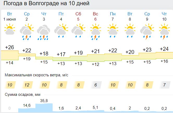 Какая погода летом 2024 в москве