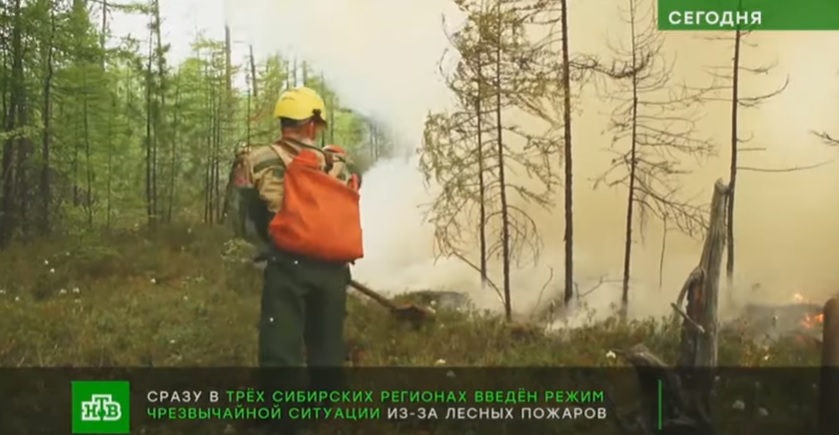 Скриншот НТВ 2.jpg