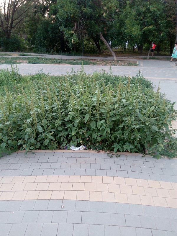 FKlBOGcIm7I.jpg FKlBOGcIm7I.jpg