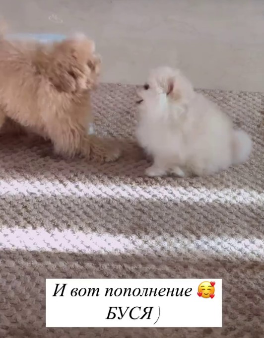 Скриншот 22-02-2025 204832.jpg Скриншот 22-02-2025 204832.jpg