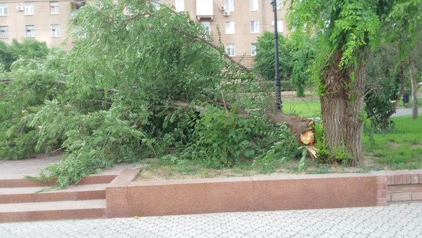 Современник прямо у церкви.jpg