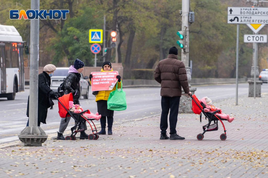 пикеты, волгоград18.jpg