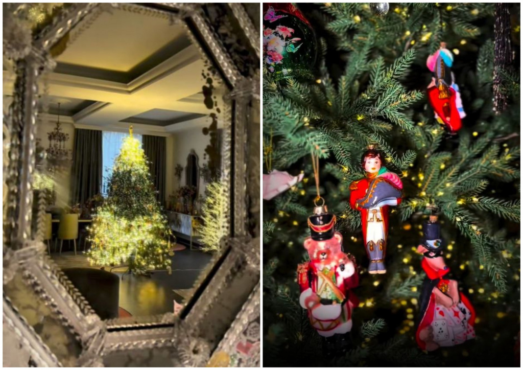 MyCollages - 2025-12-22T083519.821.jpg