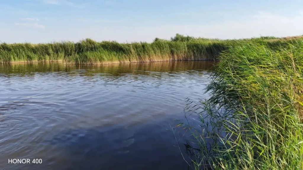 8ab4517b-4ed1-455d-8ca8-3ab4a4f71f4f.jpg