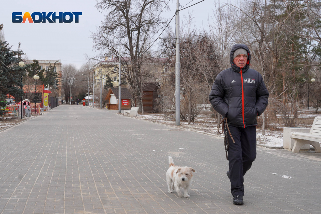 комосомольский сад, город, волгоград, благоустройство3.jpg