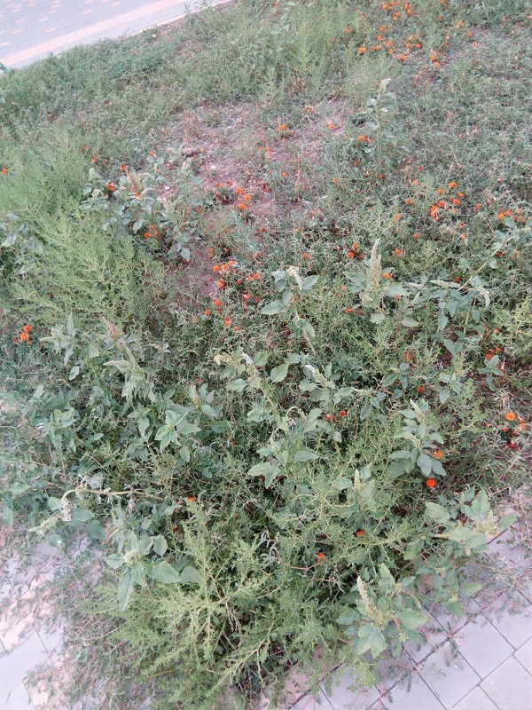 z9-uIuGcOIo.jpg z9-uIuGcOIo.jpg